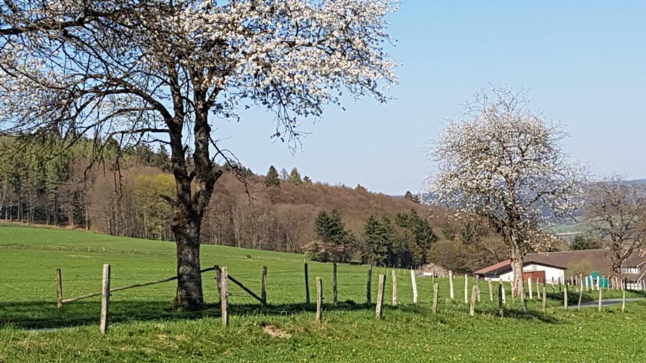 Ferienhaus "Am Gehre" Bad Berleburg Exterior foto